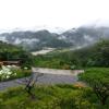 oraview pension