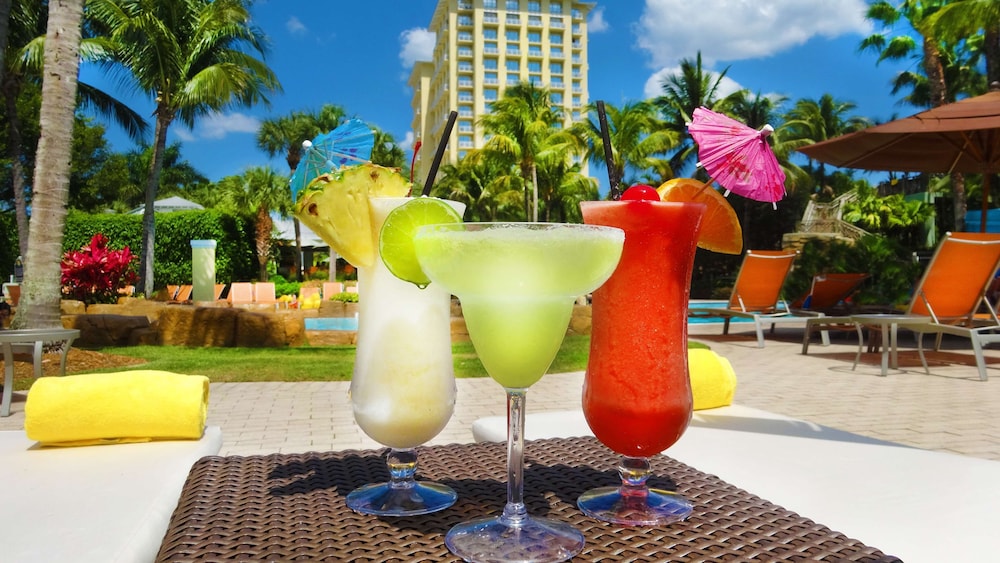 hyatt regency coconut point resort and spa