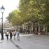 enjoybcn tallers apartment