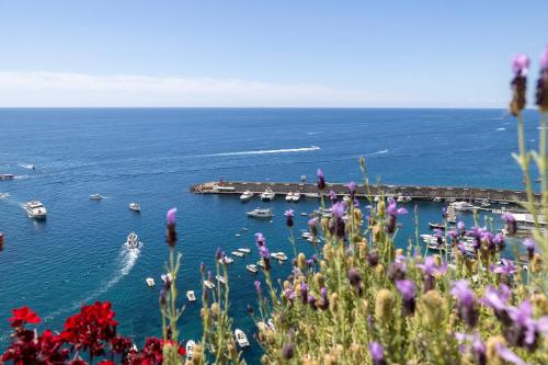 amalfi