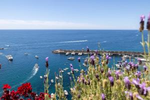 amalfi