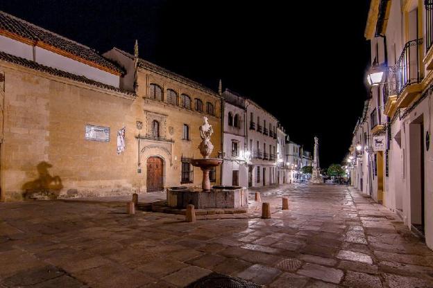 apartamentos plaza