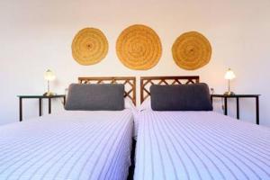 apartamentos plaza