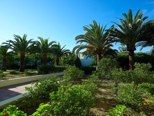 eleftheria hotel