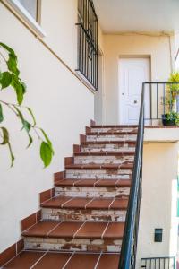 malaga