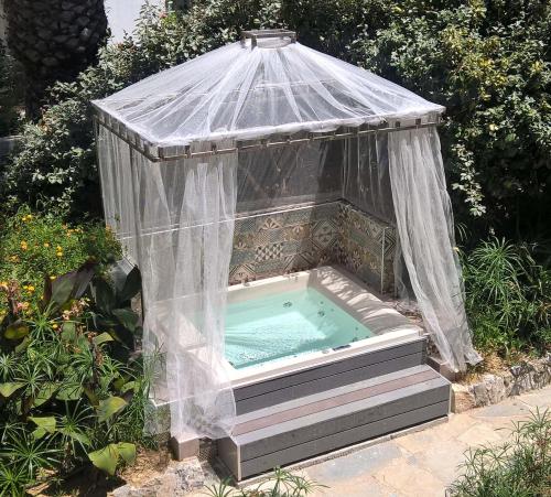 orpheas resort adults only