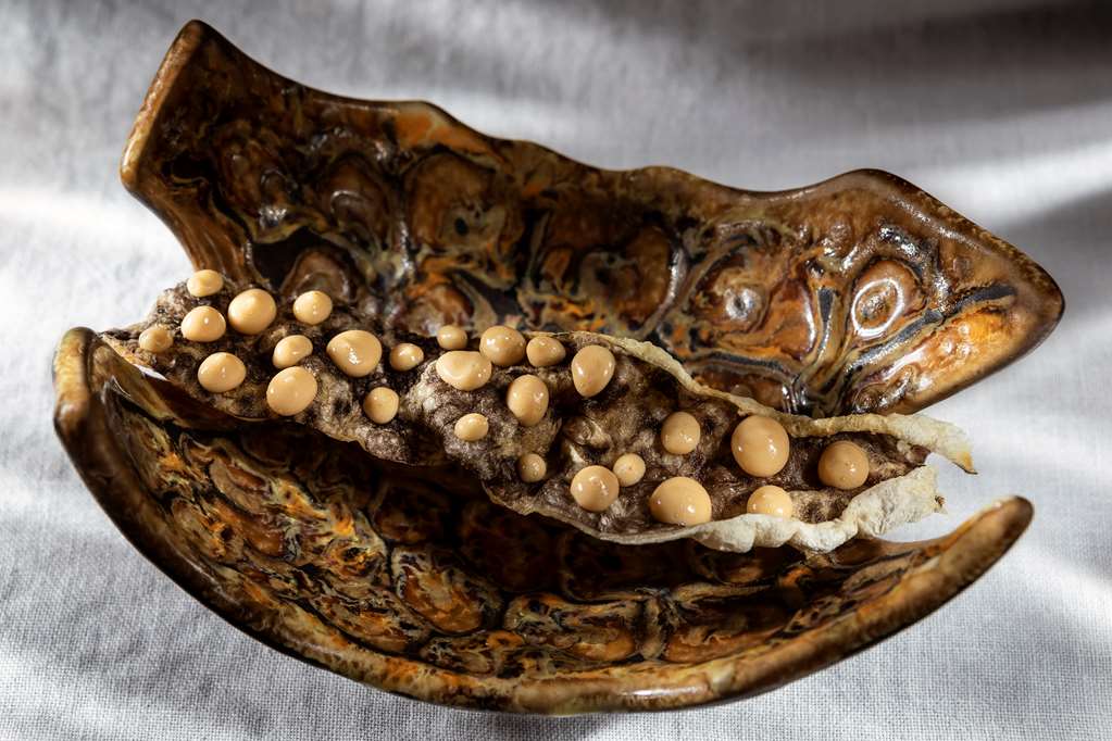 chiclana de la frontera