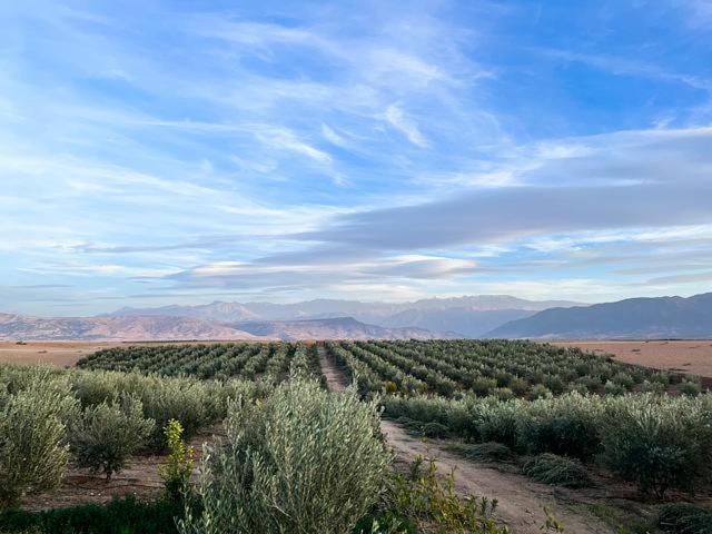 les jardins d amizmiz