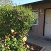 maple inn and suites