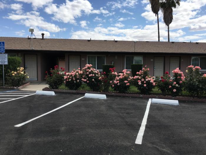 maple inn and suites