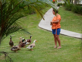 sao francisco do sul