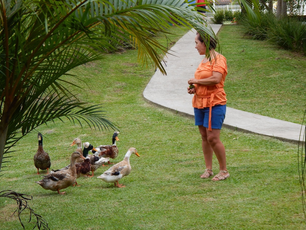 sao francisco do sul
