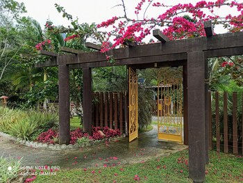 sao francisco do sul