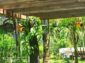 sao francisco do sul