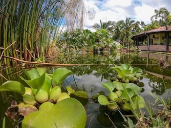 sao francisco do sul