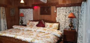 House Boat Hardy Palace,Dal Lake>>Srinagar,3 star