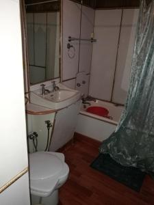 house boat hardy palace