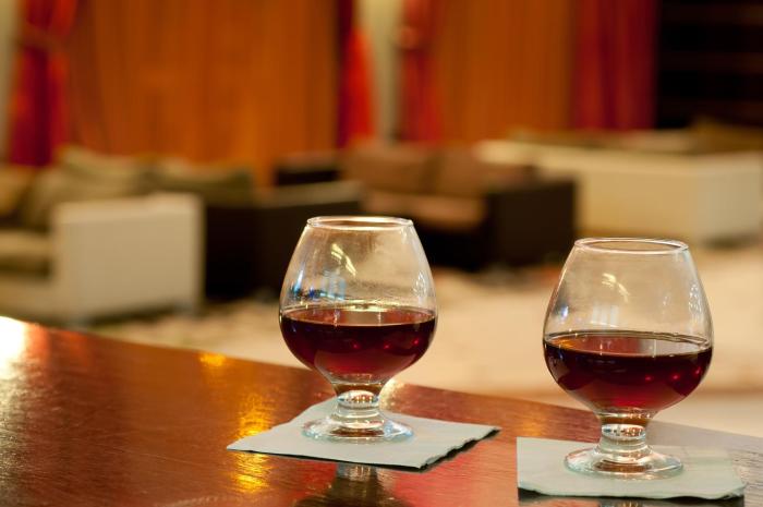 leonardo hotel negev