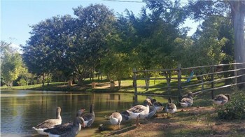 chale cantinho de minas