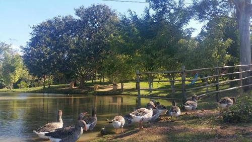 chale cantinho de minas