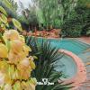 villa st jean suite romantique