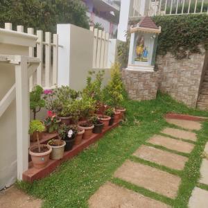 ooty