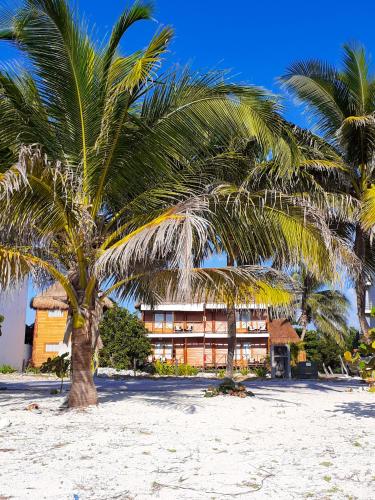 palmeras de mahahual cabanas