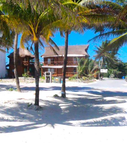 palmeras de mahahual cabanas