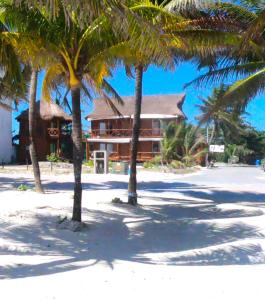 palmeras de mahahual cabanas