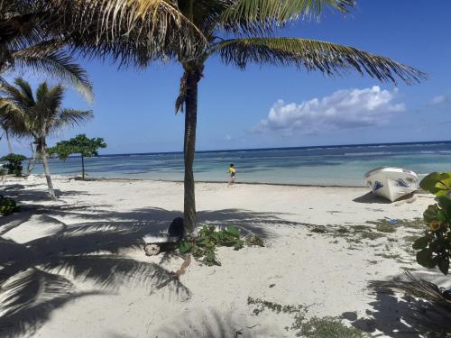palmeras de mahahual cabanas