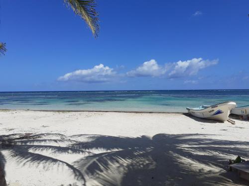 palmeras de mahahual cabanas