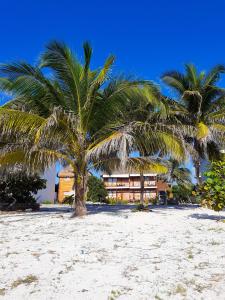 palmeras de mahahual cabanas