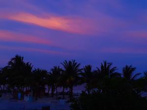 palmeras de mahahual cabanas