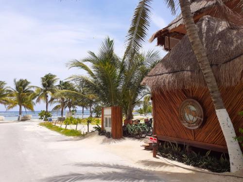 palmeras de mahahual cabanas