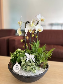 Hotel Oxford Inn & Suites,Vest>>Timisoara,3 star