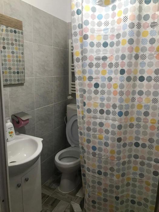 pensiunea alexa