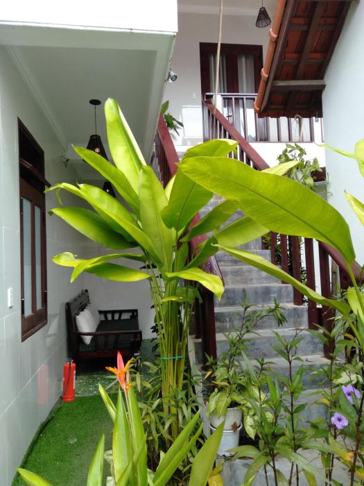 pink beach homestay