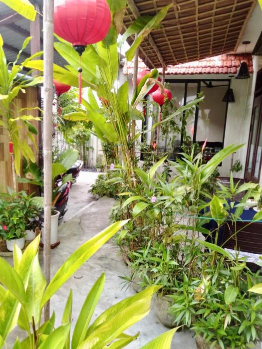 pink beach homestay