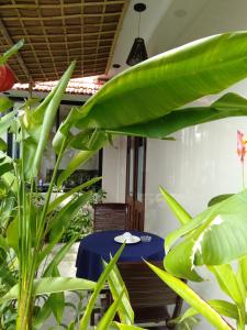 pink beach homestay