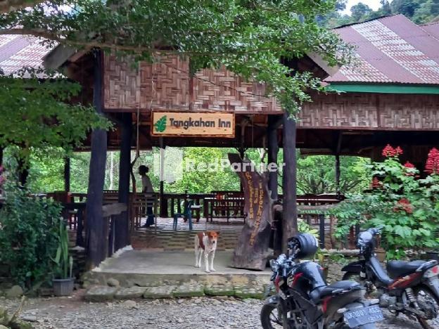 tangkahan inn