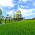 wujie
