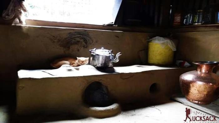 vamoosetrail lingzey