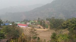 lingtam