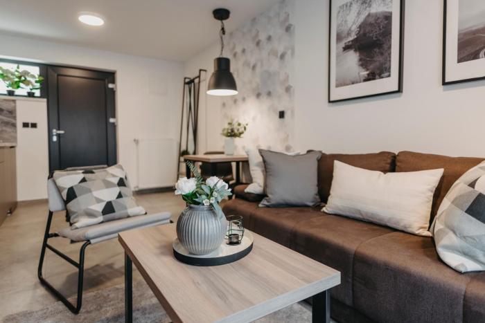 premium apartments terme sveti martin