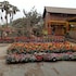 atithya resort