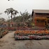 atithya resort