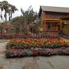 atithya resort