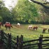 seventy four ranch