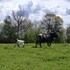 seventy four ranch