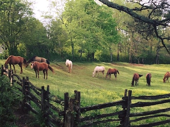 seventy four ranch